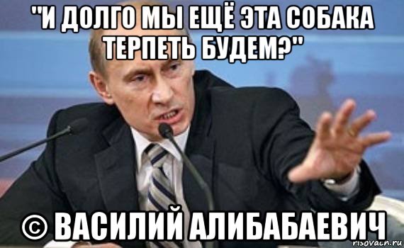 "и долго мы ещё эта собака терпеть будем?" © василий алибабаевич