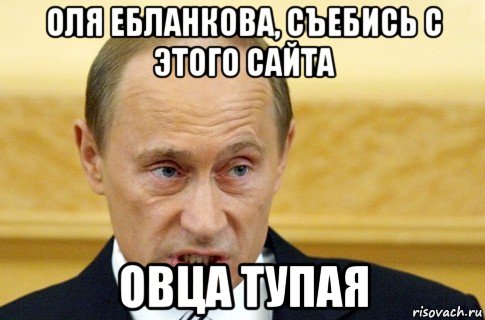 оля ебланкова, съебись с этого сайта овца тупая, Мем путин