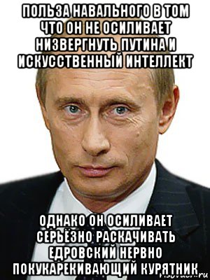 польза навального в том что он не осиливает низвергнуть путина и искусственный интеллект однако он осиливает серьёзно раскачивать едровский нервно покукарекивающий курятник, Мем Путин