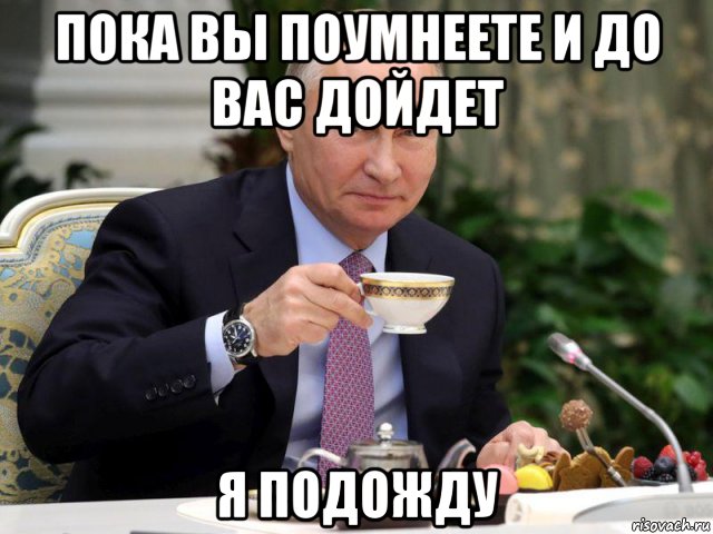 пока вы поумнеете и до вас дойдет я подожду, Мем ПУТИН