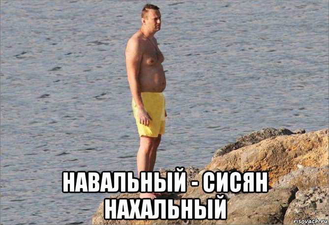  навальный - сисян нахальный, Мем Сисян