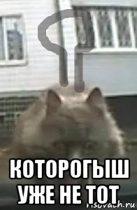  которогыш уже не тот, Мем Скрепыши Х Новая акция пидорасков