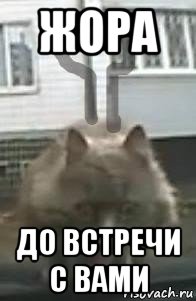 жора до встречи с вами, Мем Скрепыши Х Новая акция пидорасков
