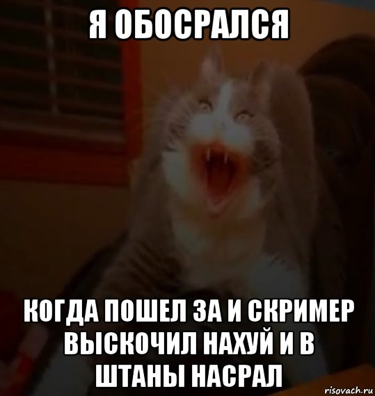 я обосрался когда пошел за и скример выскочил нахуй и в штаны насрал, Мем Скример котятки