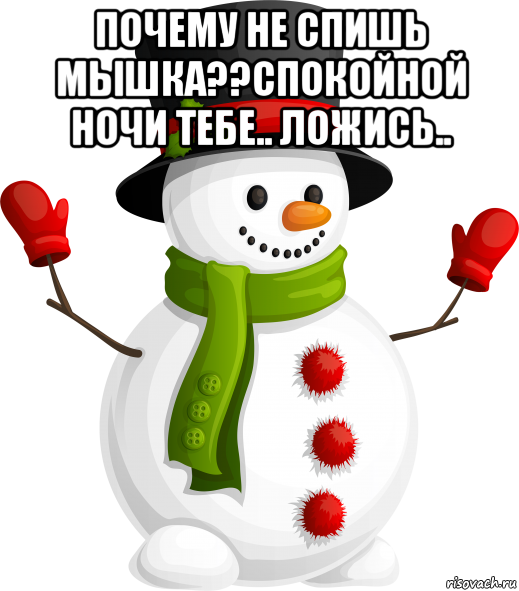 почему не спишь мышка??спокойной ночи тебе.. ложись.. , Мем Снеговик