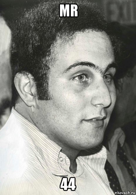 mr 44, Мем Son Of Sam