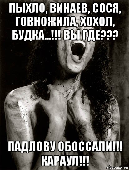 пыхло, винаев, сося, говножила, хохол, будка...!!! вы где??? падлову обоссали!!! караул!!!, Мем Спасите