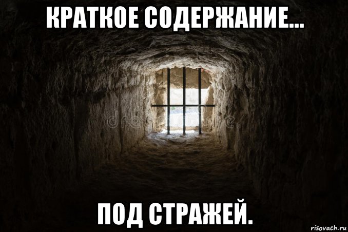 краткое содержание... под стражей., Мем СПСТР