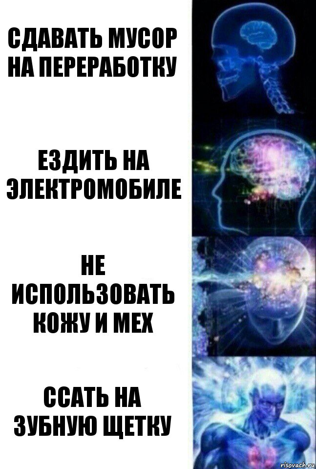 Сдавать мусор на переработку Ездить на электромобиле Не использовать кожу и мех Ссать на зубную щетку