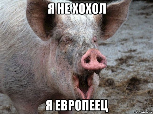 я не хохол я европеец