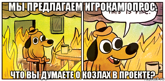 мы предлагаем игрокам опрос. что вы думаете о козлах в проекте?, Мем This is fine