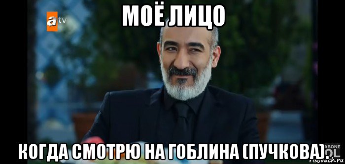 моё лицо когда смотрю на гоблина (пучкова)., Мем Топрак