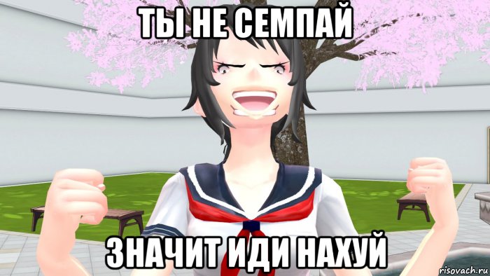 ты не семпай значит иди нахуй, Мем Ты не