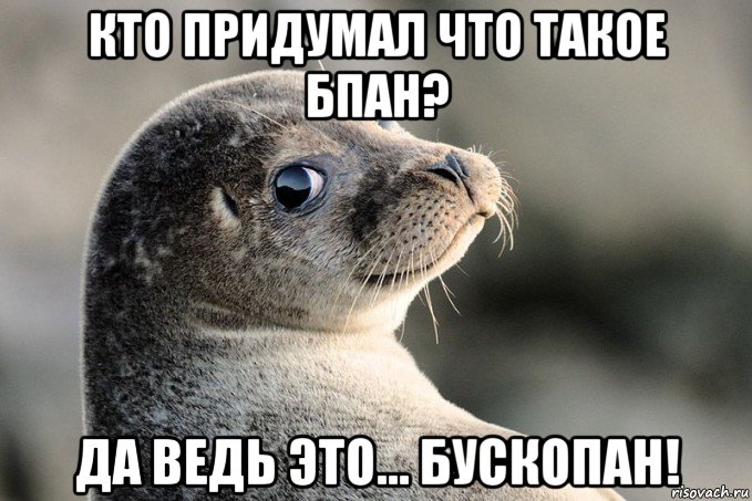 кто придумал что такое бпан? да ведь это... бускопан!