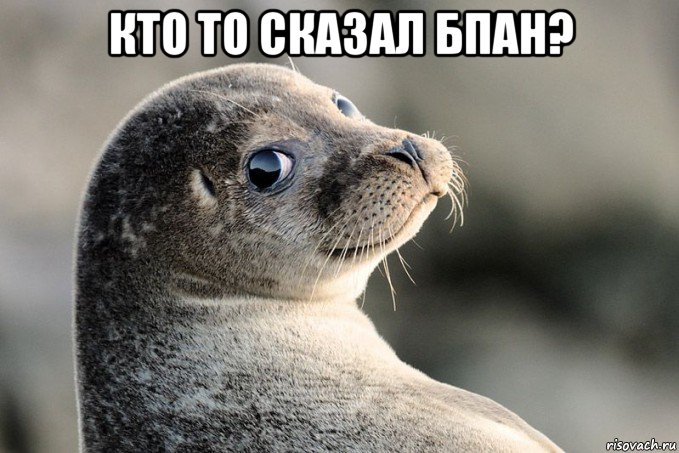 кто то сказал бпан? 