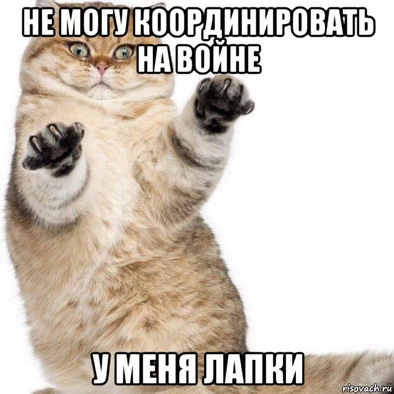 не могу координировать на войне у меня лапки