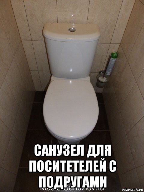  санузел для поситетелей с подругами, Мем Унитаз 2