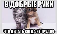 в добрые руки что делать когда не трудно, Мем В добрые руки