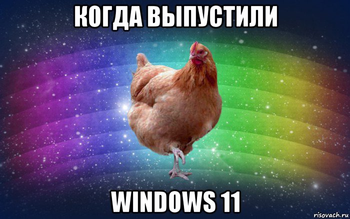 когда выпустили windows 11, Мем Весела Курка