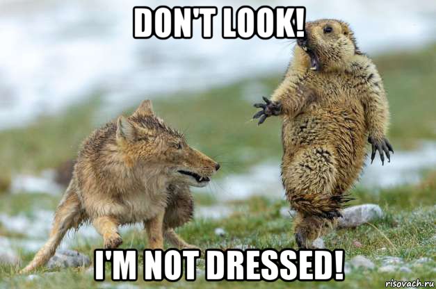 don't look! i'm not dressed!, Мем Волк и суслик