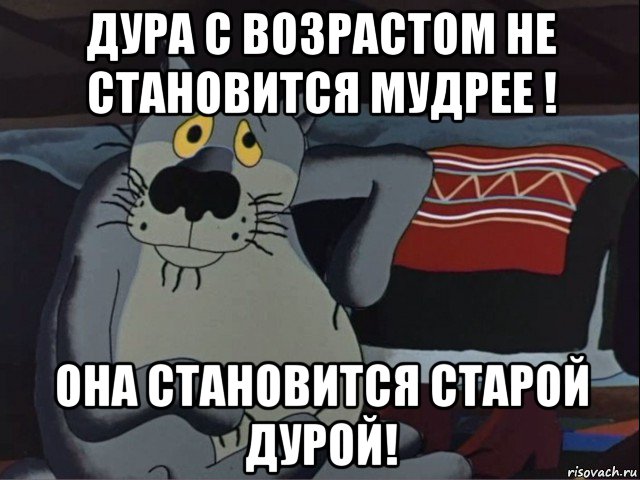 дура с возрастом не становится мудрее ! она становится старой дурой!