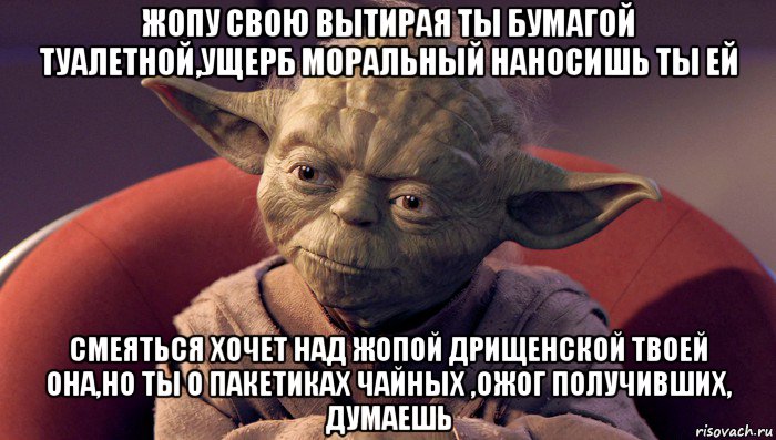 жопу свою вытирая ты бумагой туалетной,ущерб моральный наносишь ты ей смеяться хочет над жопой дрищенской твоей она,но ты о пакетиках чайных ,ожог получивших, думаешь, Мем йода