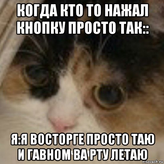 когда кто то нажал кнопку просто так:: я:я восторге просто таю и гавном ва рту летаю, Мем Зачем