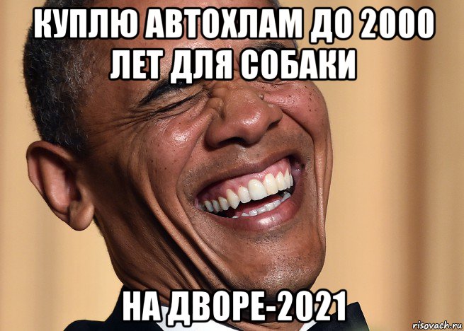куплю автохлам до 2000 лет для собаки на дворе-2021