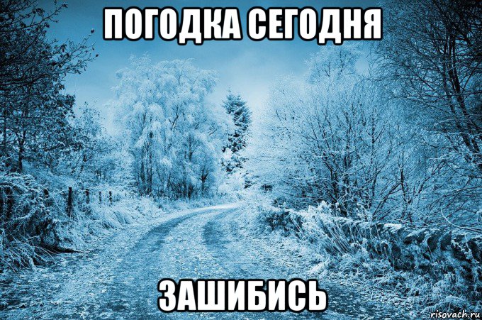 погодка сегодня зашибись