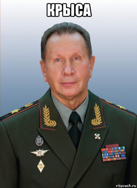 крыса , Мем Золотов