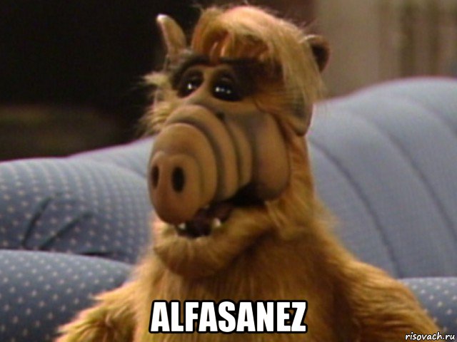  alfasanez, Мем 11111