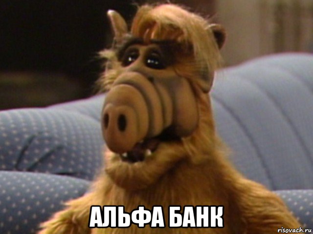  альфа банк, Мем 11111