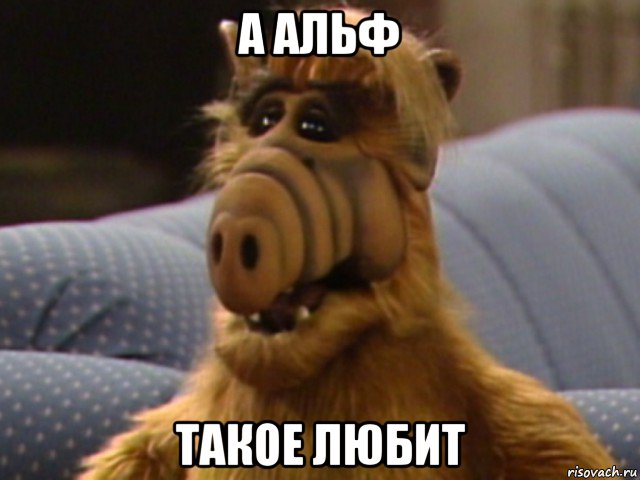 а альф такое любит, Мем 11111