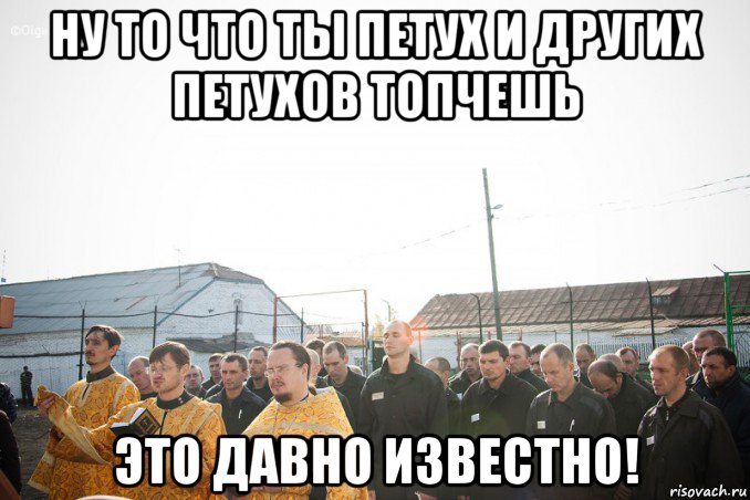 ну то что ты петух и других петухов топчешь это давно известно!, Мем 1