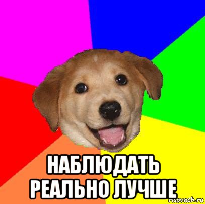  наблюдать реально лучше, Мем Advice Dog