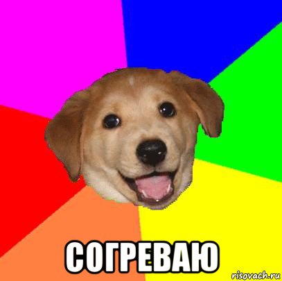  согреваю, Мем Advice Dog