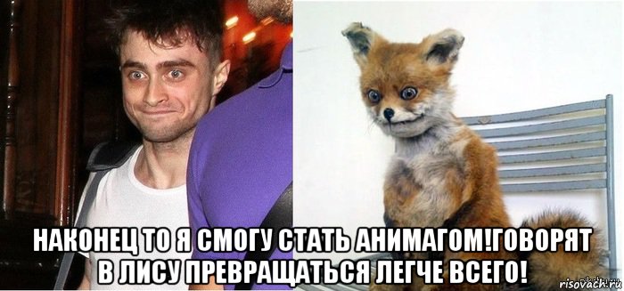  наконец то я смогу стать анимагом!говорят в лису превращаться легче всего!, Мем Анимаг