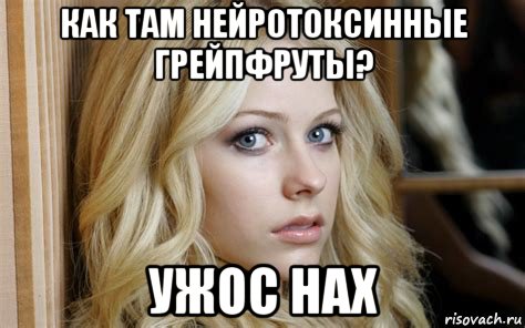 как там нейротоксинные грейпфруты? ужос нах, Мем Avril Lavigne