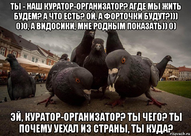 ты - наш куратор-организатор? агде мы жить будем? а что есть? ой, а форточки будут?))) 0)0, а видосики, мне родным показать)) 0) эй, куратор-организатор? ты чего? ты почему уехал из страны, ты куда?