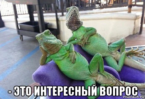  - это интересный вопрос, Мем Барбара Стрейзанд