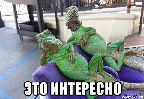  это интересно, Мем Барбара Стрейзанд