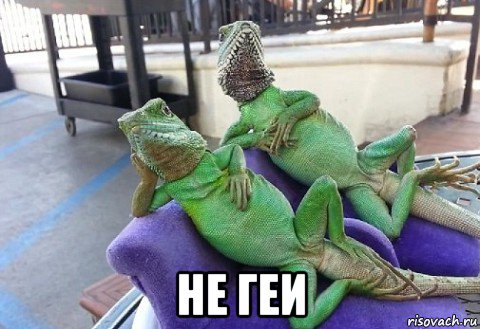  не геи, Мем Барбара Стрейзанд