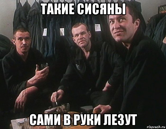 такие сисяны сами в руки лезут, Мем Беспредел