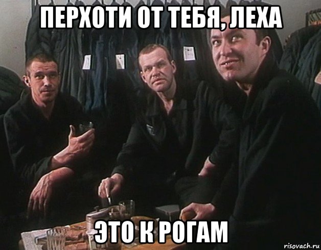 перхоти от тебя, леха это к рогам
