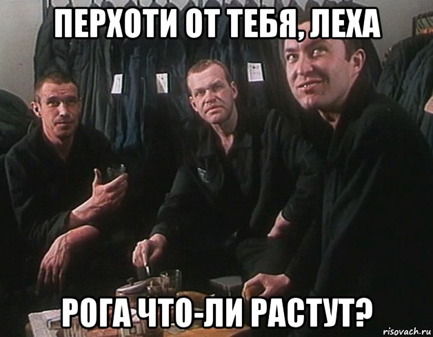 перхоти от тебя, леха рога что-ли растут?