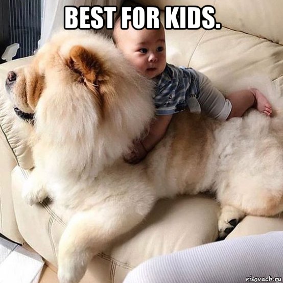 best for kids. , Мем Best For Kids