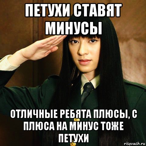 петухи ставят минусы отличные ребята плюсы, с плюса на минус тоже петухи, Мем Chiaki