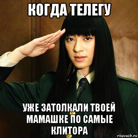 когда телегу уже затолкали твоей мамашке по самые клитора, Мем Chiaki