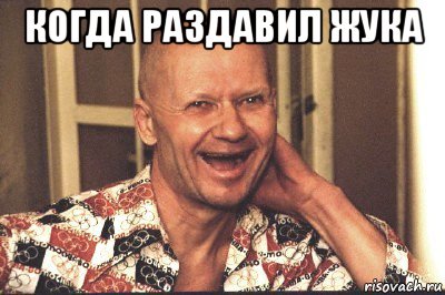 когда раздавил жука 