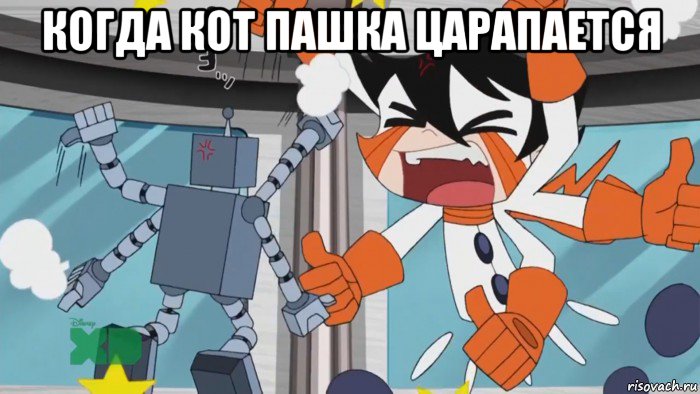 когда кот пашка царапается 